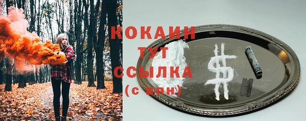 дмт Абаза
