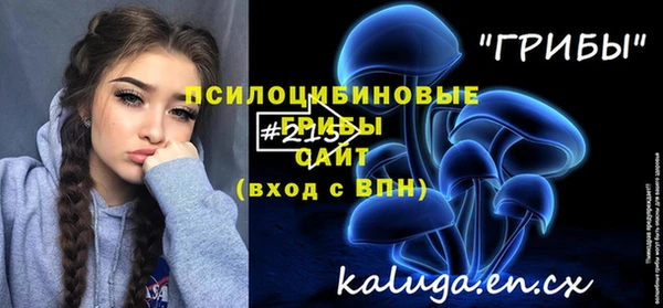 дмт Абаза