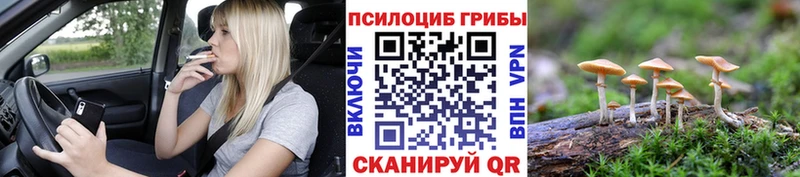 Галлюциногенные грибы Psilocybe  Юрюзань 